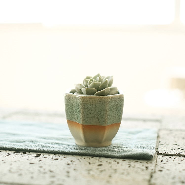 Succulent Planter Ceramic Pot - Indoor Decor | Tillmart