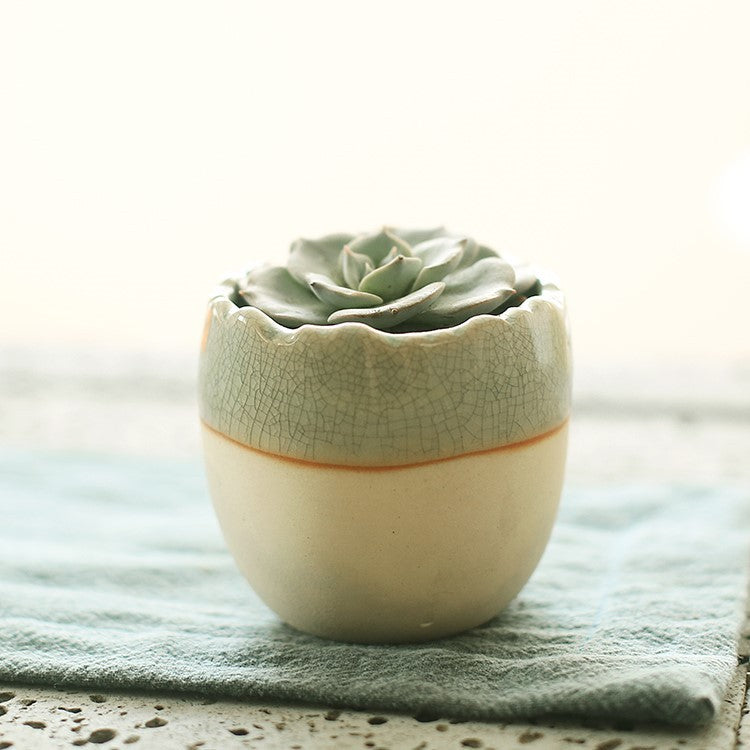 Succulent Planter Ceramic Pot - Indoor Decor | Tillmart