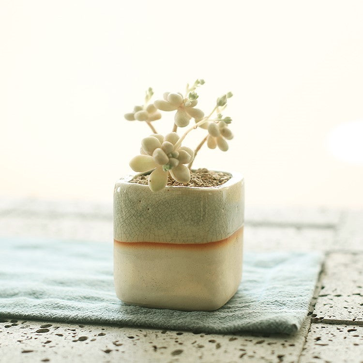 Succulent Planter Ceramic Pot - Indoor Decor | Tillmart