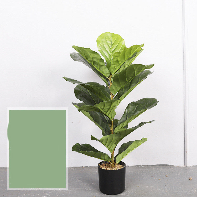Artificial Indoor Plants for Home | Tillmart Decor