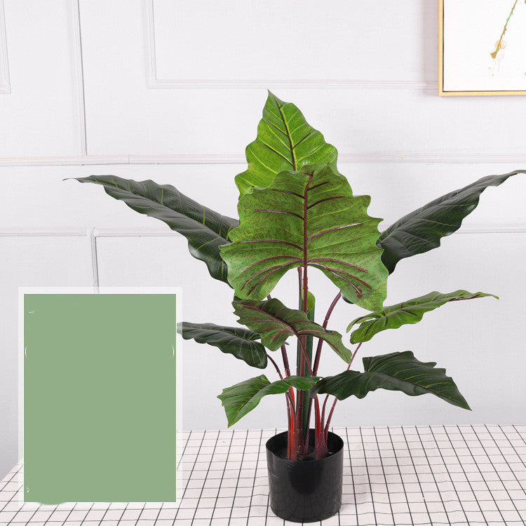 Artificial Indoor Plants for Home | Tillmart Decor