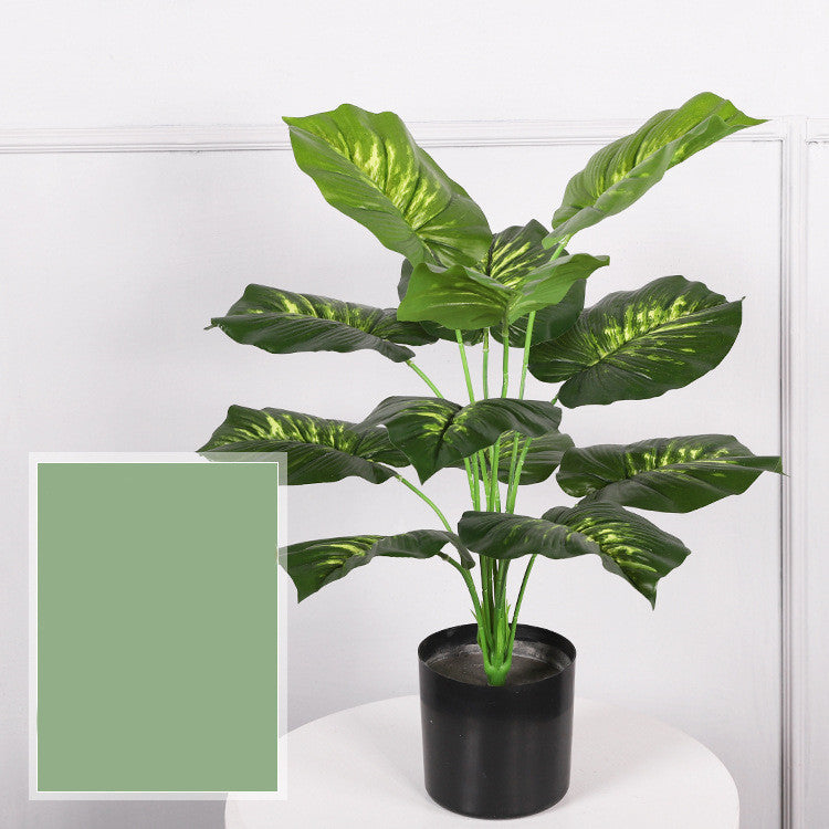Artificial Indoor Plants for Home | Tillmart Decor