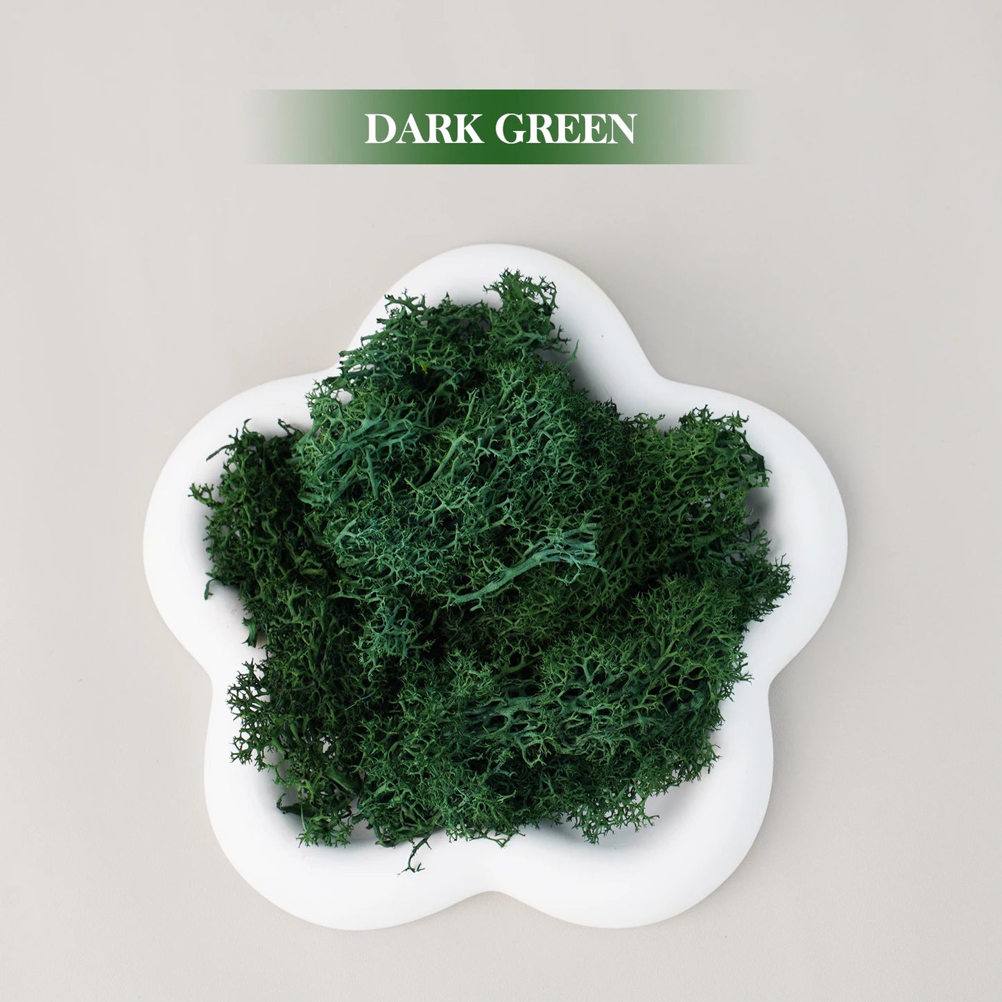 Artificial Green Plants Eternal Life Moss DIY Grass Garden Crafts Home Room Decor Mini Landscape Fake Grass 20/1000g