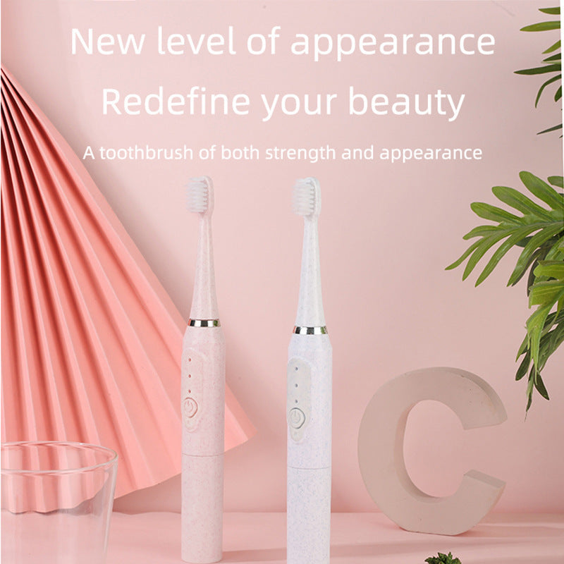 Electric Toothbrush with Two Brush Heads| Tillmart