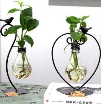 Glass Hydroponic Planter with Steel Stand