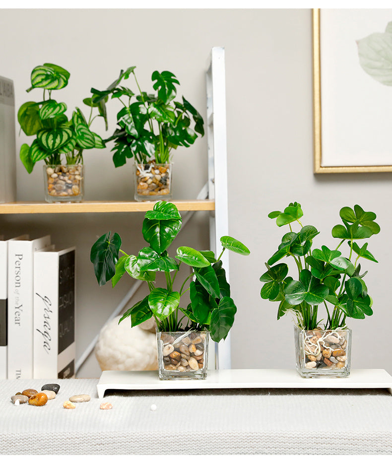 Silk Bonsai Plant - Indoor Greenery & Home Decor | Tillmart