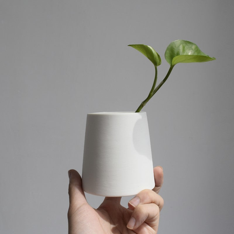White Ceramic Green Planters