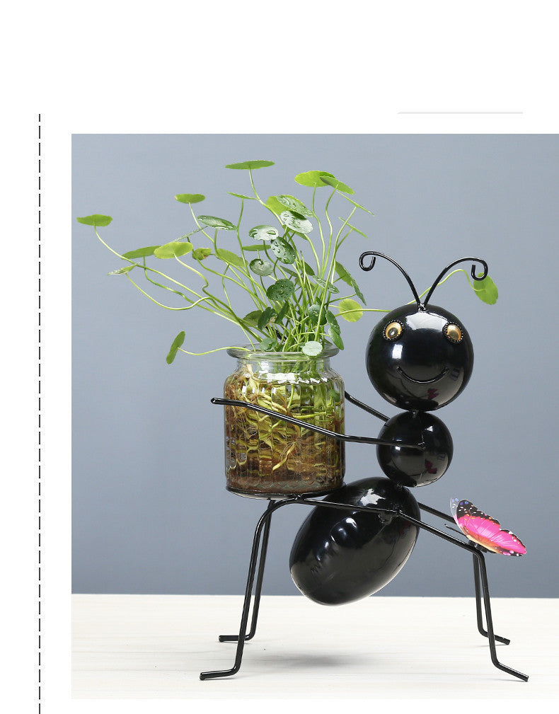 Transparent Glass Plant Pot for Water-Grown Plants