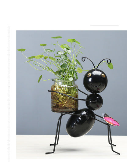 Transparent Glass Plant Pot for Water-Grown Plants