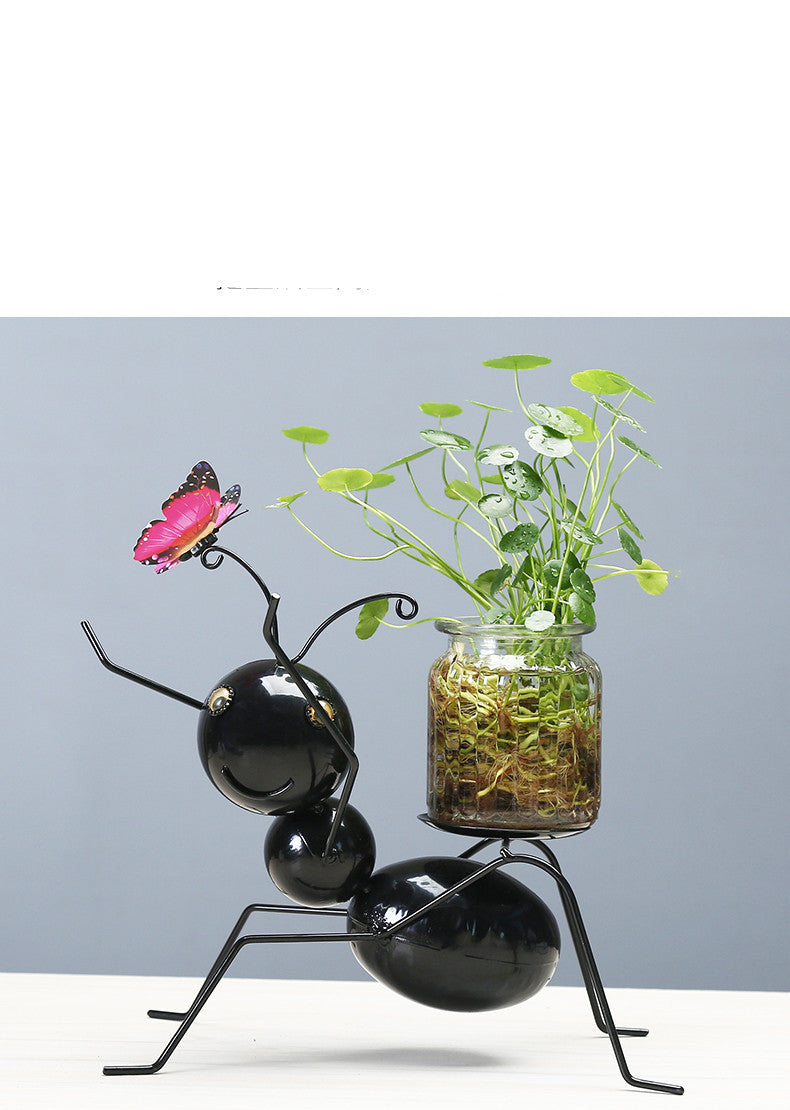 Transparent Glass Plant Pot for Water-Grown Plants