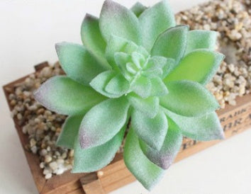 Artificial Plants Décor - Indoor Succulent Green | Tillmart