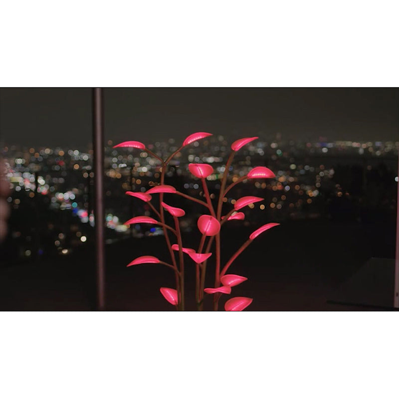 Magic LED Indoor Plant Lamp - Programmable Light | Tillmart