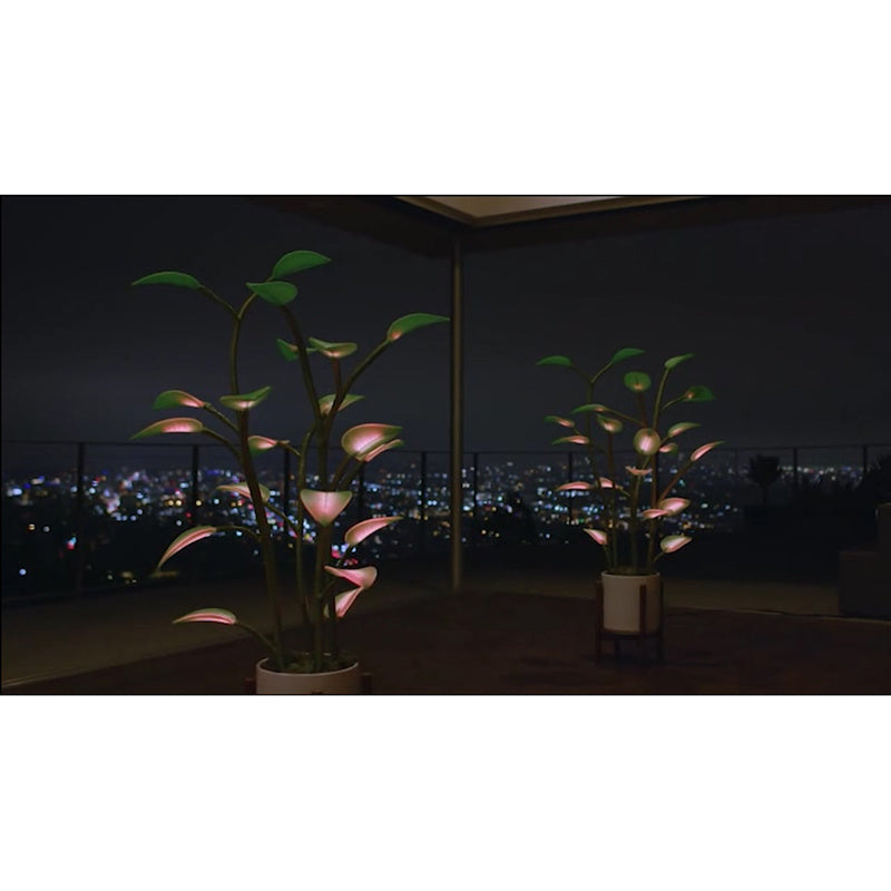 Magic LED Indoor Plant Lamp - Programmable Light | Tillmart