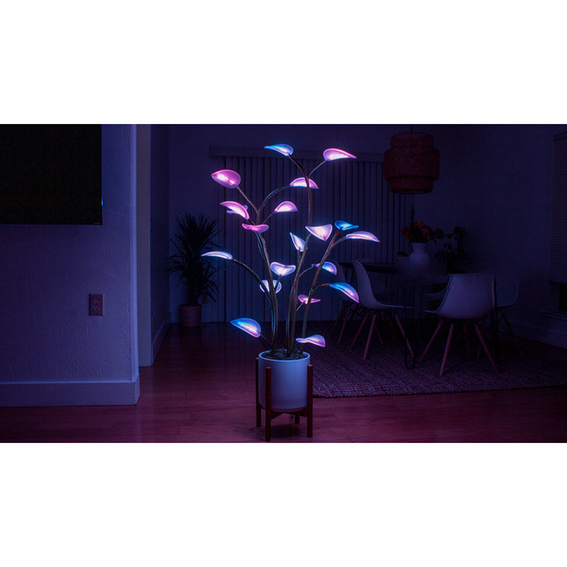 Magic LED Indoor Plant Lamp - Programmable Light | Tillmart