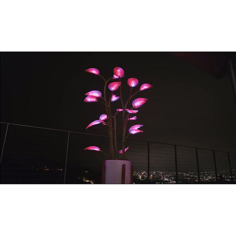 Magic LED Indoor Plant Lamp - Programmable Light | Tillmart