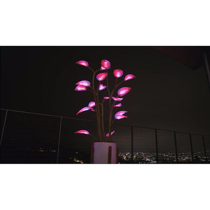 Magic LED Indoor Plant Lamp - Programmable Light | Tillmart
