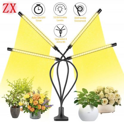 Foldable Grow Light & Lamp - Indoor Plants | Tillmart