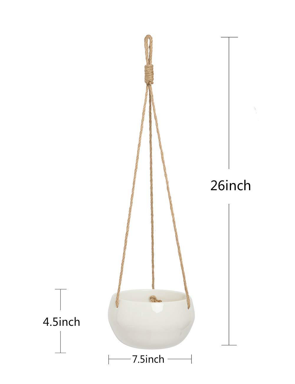 Rope & Pot Wall Decor