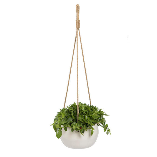 Rope & Pot Wall Decor