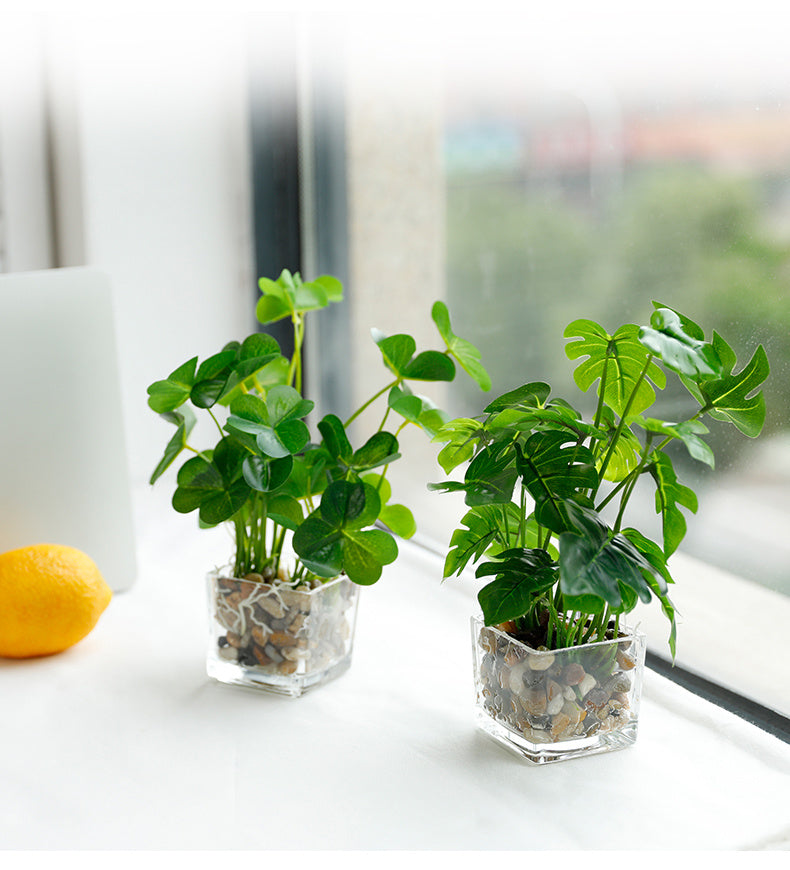 Silk Bonsai Plant - Indoor Greenery & Home Decor | Tillmart