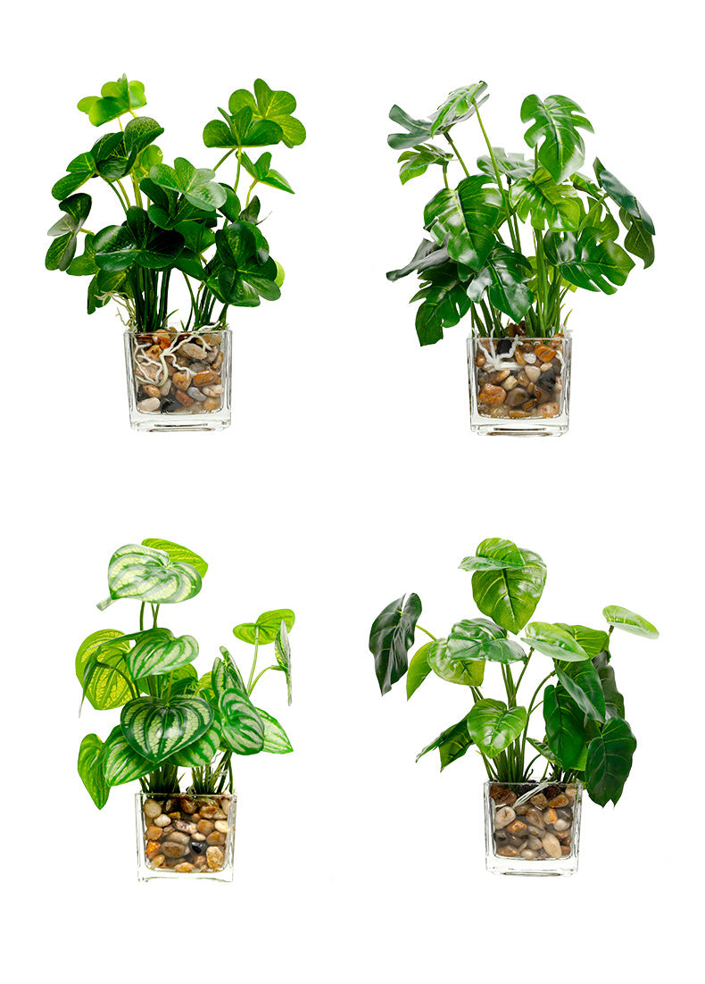 Silk Bonsai Plant - Indoor Greenery & Home Decor | Tillmart