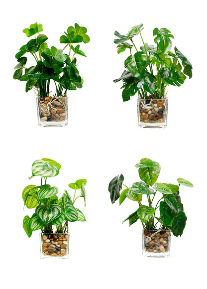 Silk Bonsai Plant - Indoor Greenery & Home Decor | Tillmart
