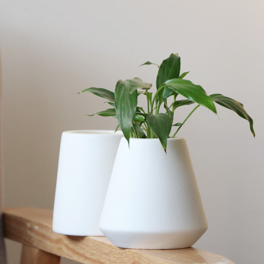 White Ceramic Green Planters