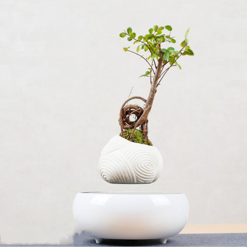 Levitating Plant Pot