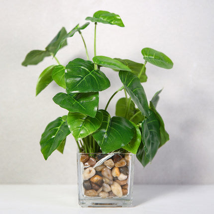 Silk Bonsai Plant - Indoor Greenery & Home Decor | Tillmart