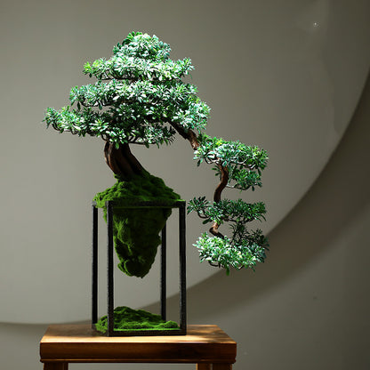 Handcrafted Bonsai Decor - Indoor Green Plant Art | Tillmart