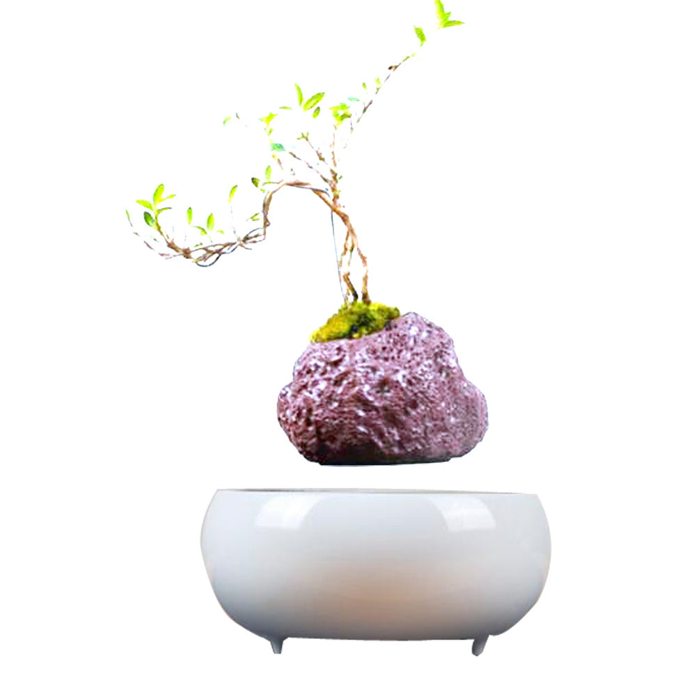 Levitating Plant Pot