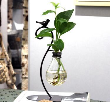 Glass Hydroponic Planter with Steel Stand