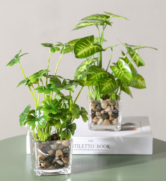 Silk Bonsai Plant - Indoor Greenery & Home Decor | Tillmart