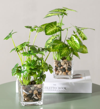 Silk Bonsai Plant - Indoor Greenery & Home Decor | Tillmart