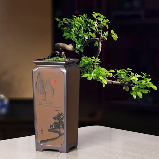 Ceramic Orchid Pot Retro Design - Indoor Decor | Tillmart