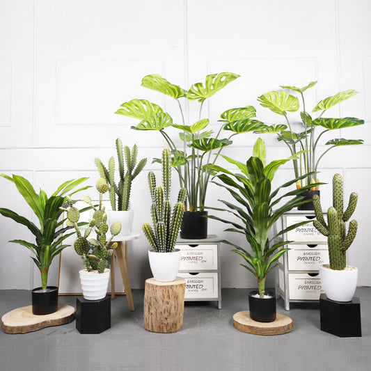 Artificial Indoor Plants for Home | Tillmart Decor