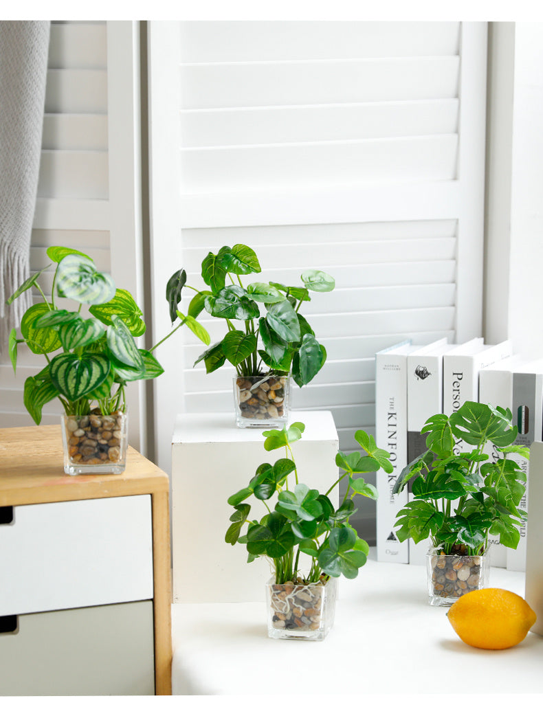 Silk Bonsai Plant - Indoor Greenery & Home Decor | Tillmart