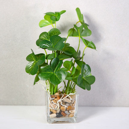 Silk Bonsai Plant - Indoor Greenery & Home Decor | Tillmart