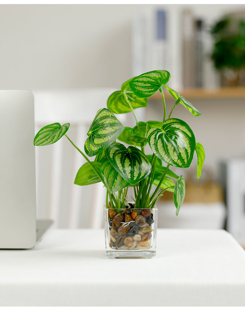 Silk Bonsai Plant - Indoor Greenery & Home Decor | Tillmart