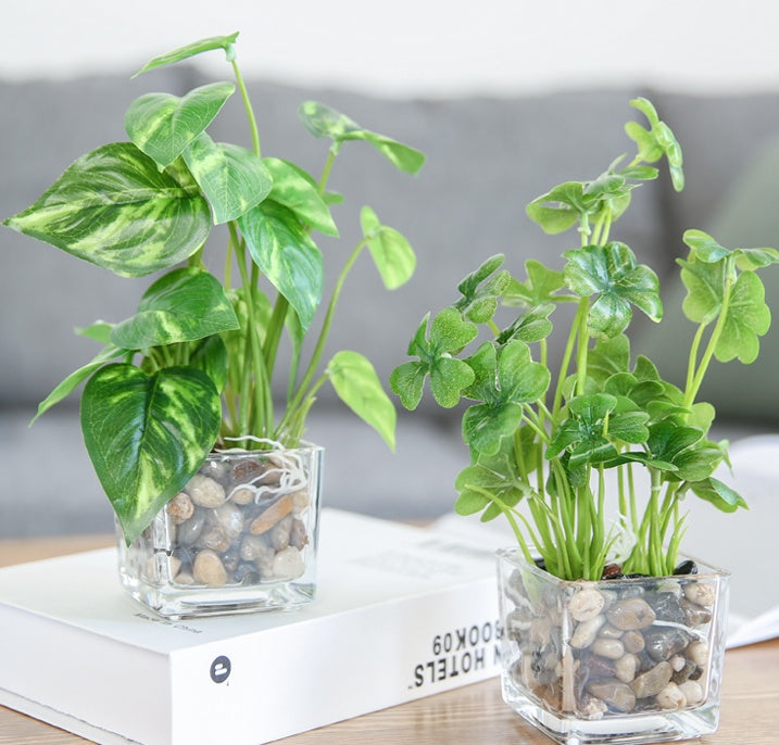 Silk Bonsai Plant - Indoor Greenery & Home Decor | Tillmart