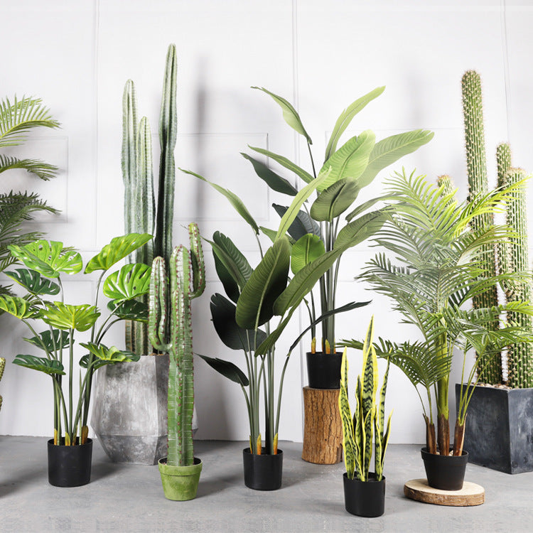 Artificial Indoor Plants for Home | Tillmart Decor