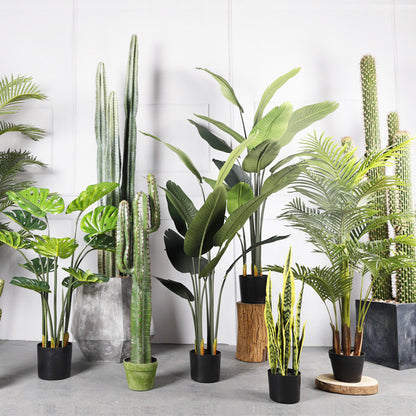 Artificial Indoor Plants for Home | Tillmart Decor
