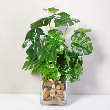 Silk Bonsai Plant - Indoor Greenery & Home Decor | Tillmart