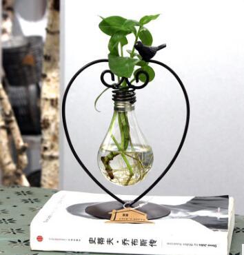 Glass Hydroponic Planter with Steel Stand