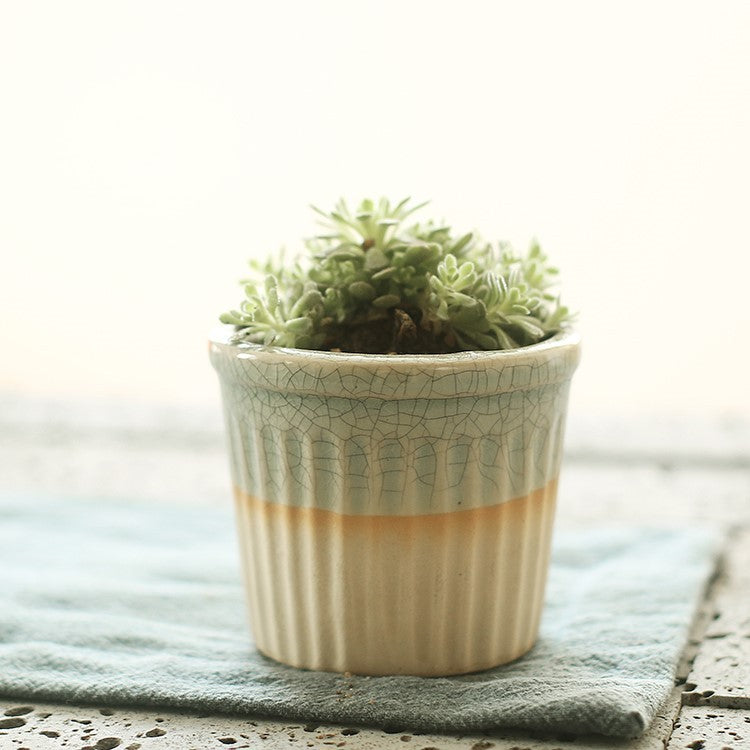 Succulent Planter Ceramic Pot - Indoor Decor | Tillmart