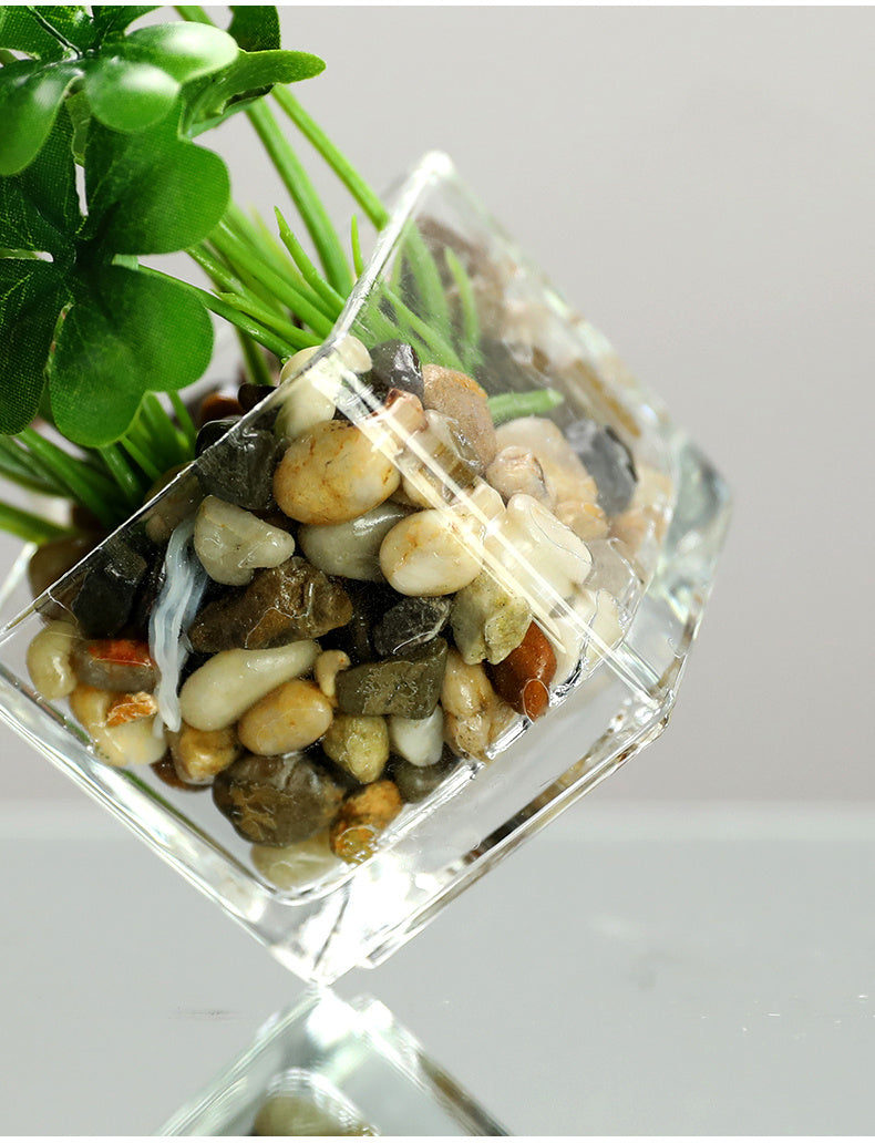 Silk Bonsai Plant - Indoor Greenery & Home Decor | Tillmart
