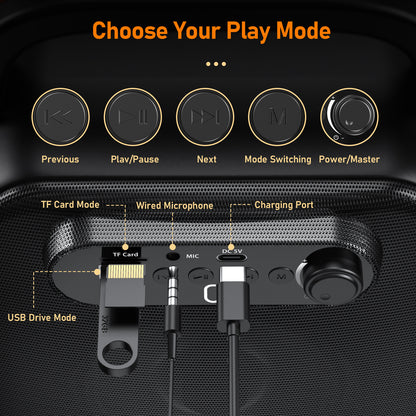 Bluetooth Karaoke Speaker with Wireless Mics | Tillmart