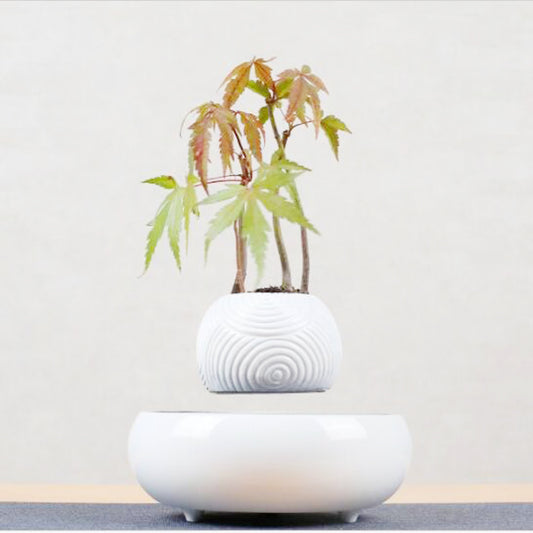 Levitating Plant Pot