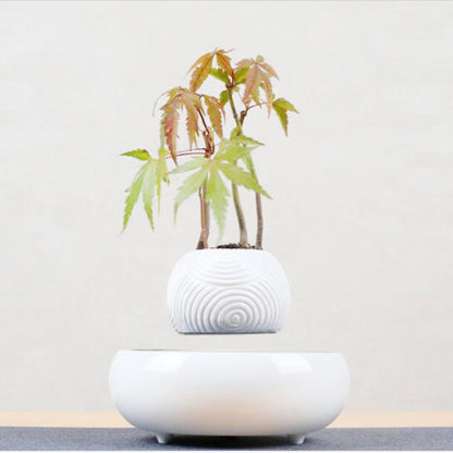 Levitating Plant Pot