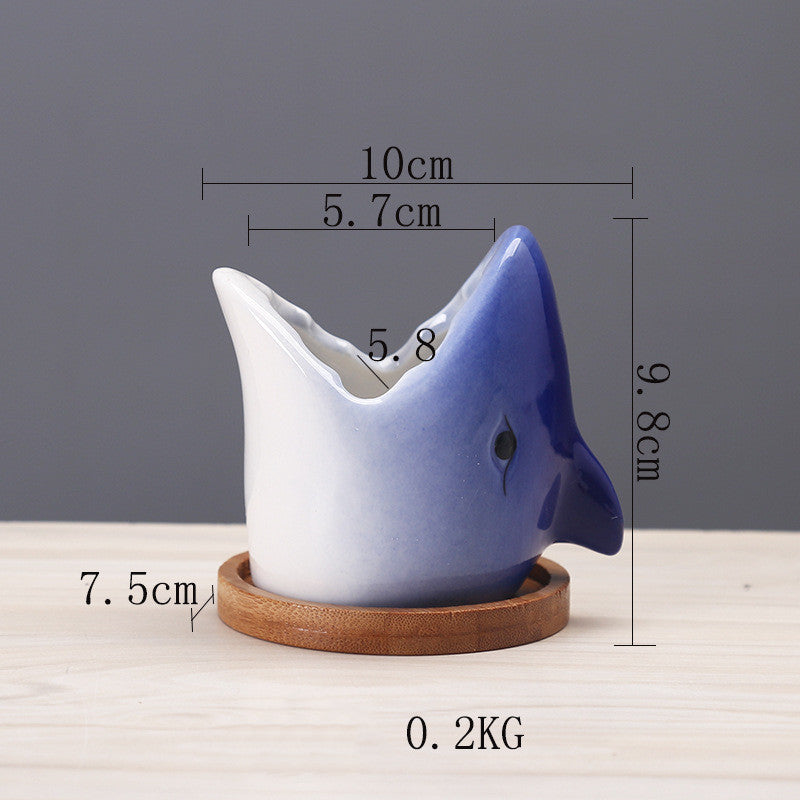 Cartoon Ceramic Succulent Pot